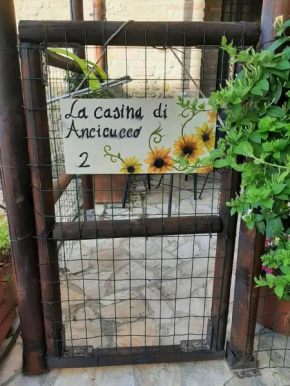 La Casina di Ancicucco 2 San Gimignano